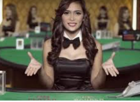 8868网页登录入口正式版